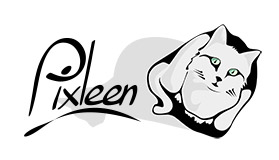 Pixleen : dessins, illustrations et poésie