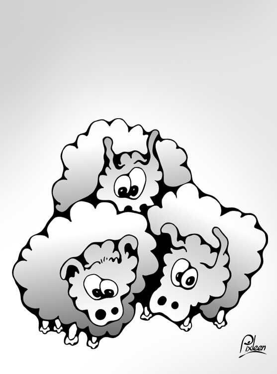 3 moutons plein de surprise